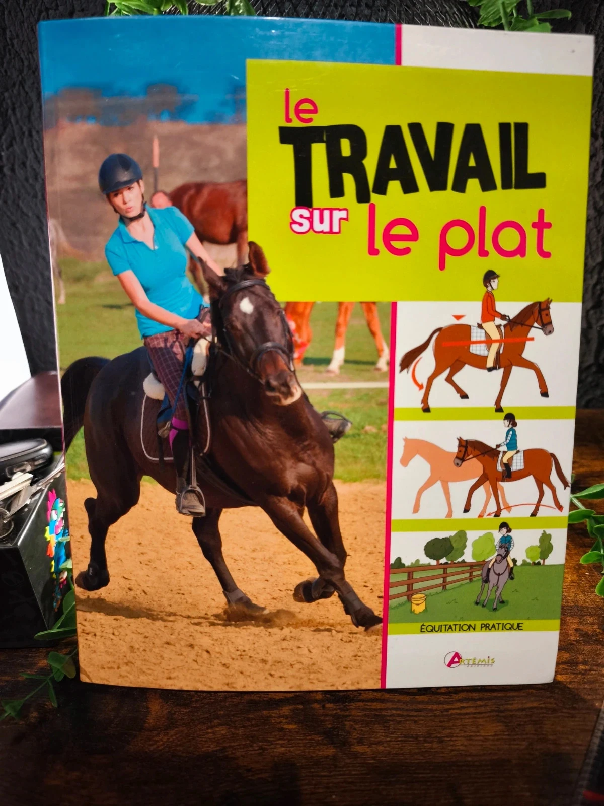 Le travail sur le plat
